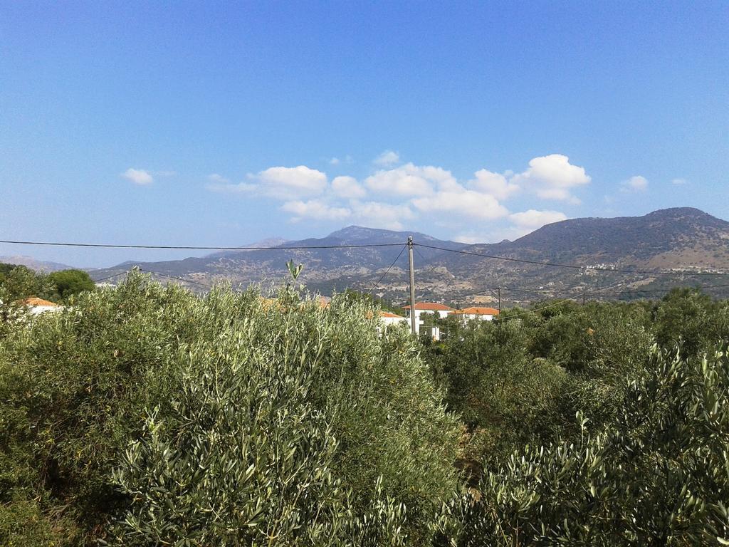 Villa Marianthi Πέτρα Εξωτερικό φωτογραφία